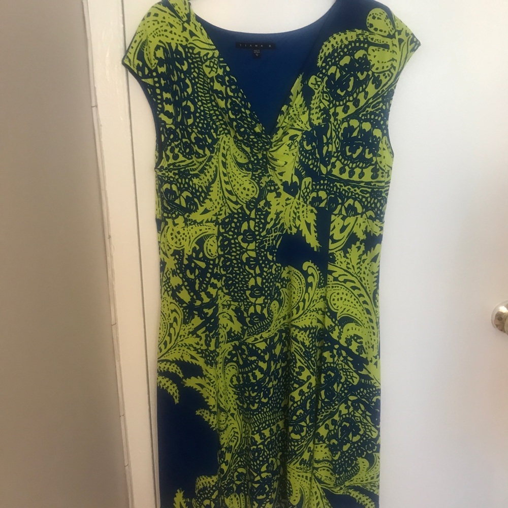 Tiana B Green and Blue Paisley Print Dress Size 12